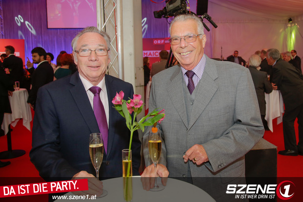 Single party linz 2020