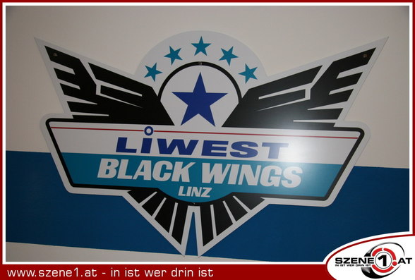 Black Wings - 