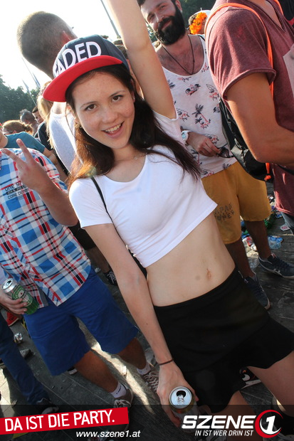 streetparade 2014 - 