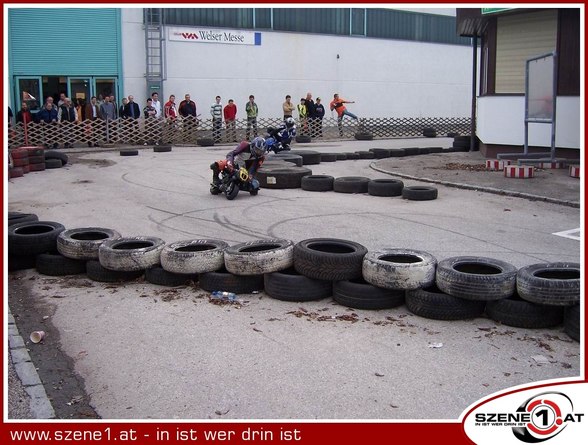 Szene1-Fotoalbum - 