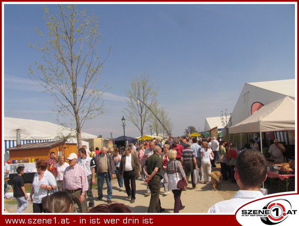 Lehner`s Hoffest 2006 - 