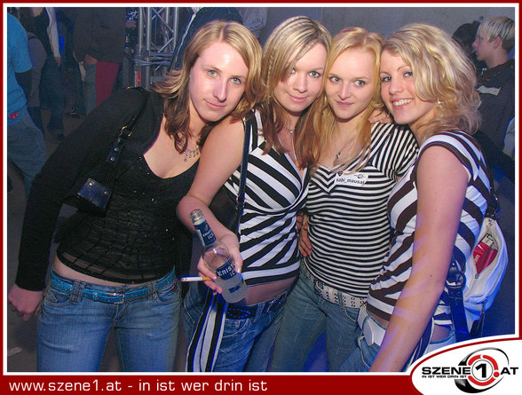 Festln 2006 - 