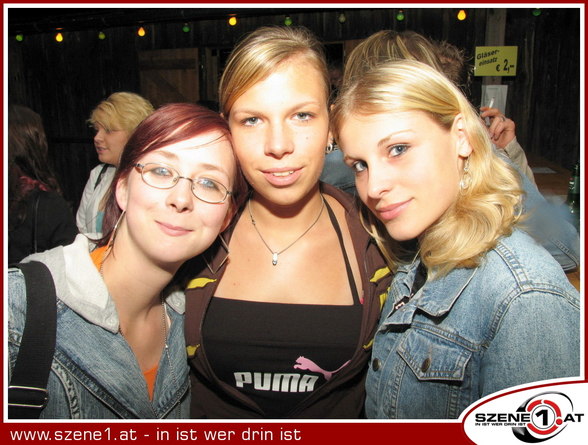 Festl - 