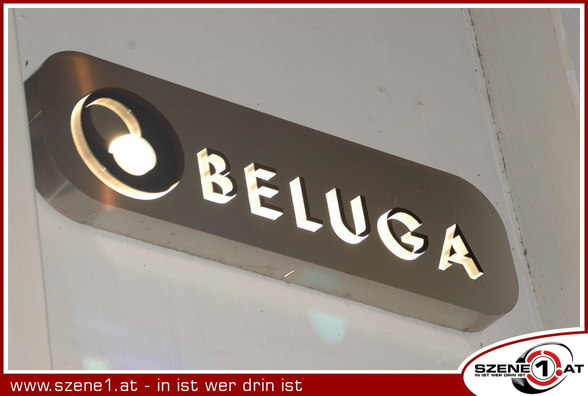 Beluga - 