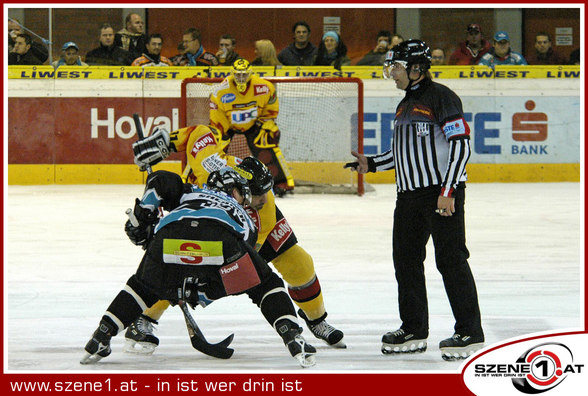 Vienna Capitals - 