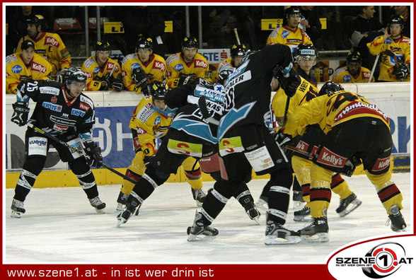 Vienna Capitals - 