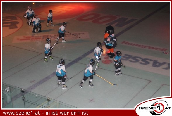 EHC LIWEST BLACK WINGS LINZ - 