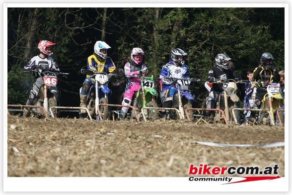 MX im rosapanterstyle - 