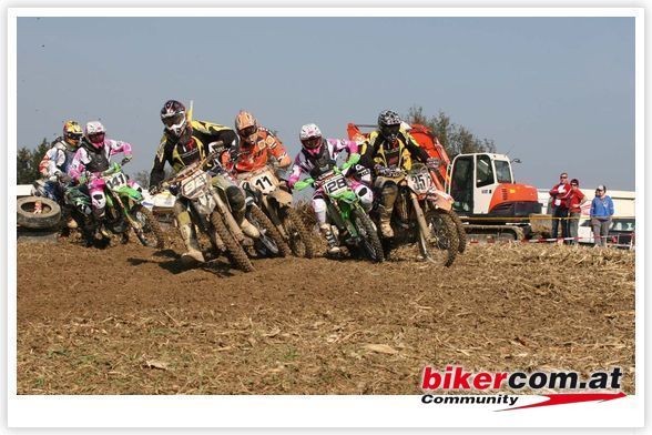 MX im rosapanterstyle - 