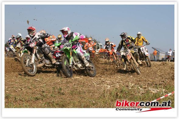 MX im rosapanterstyle - 