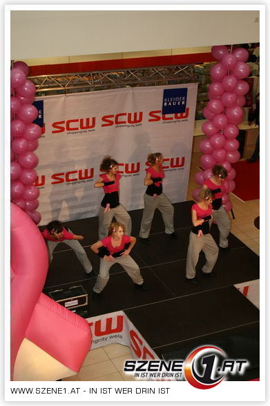 Pink Ribbon Tour 2008 SCW - 