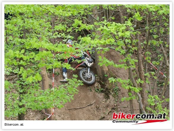 Trial 09 Steyr - 