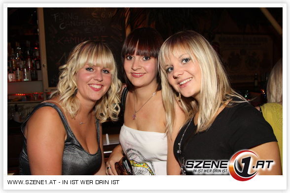 Partyhasen - 