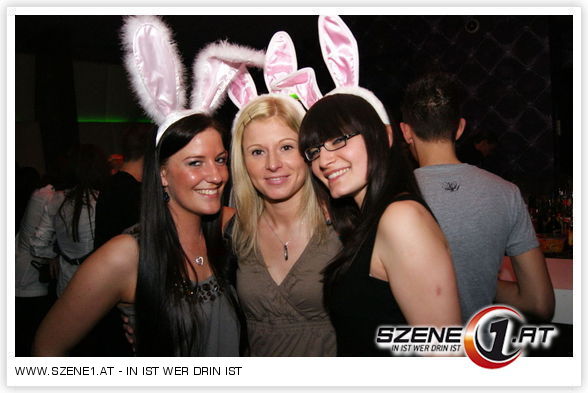 BUNNYPARTY - 