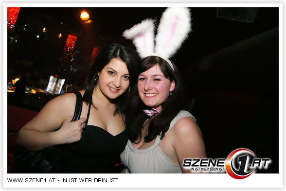 BUNNYPARTY - 