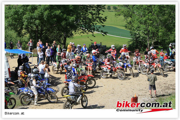 crossn 2010 - 