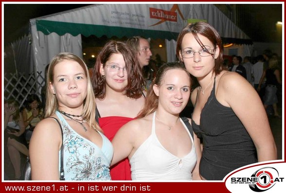 Festln - 
