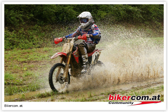 mx vorchdorf - 