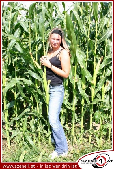 Ƹ̵̡Ӝ̵̨̄Ʒ **** 2006 **** Ƹ̵̡Ӝ̵̨̄Ʒ - 