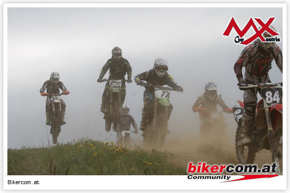 mx loibes 2011 - 