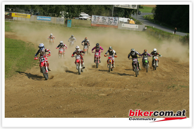 MX-CORNER-BULL-TEAM - 