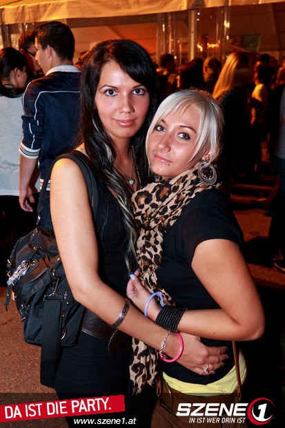 Party - 
