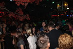 VIP Party 10063160