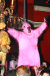 The Pink Partyland - The Crazy Event 10153771