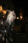 1. Kastelruther Krampuslauf 2011  10164785