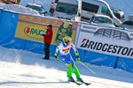 FIS Skiworldcup ALTA BADIA 10183328