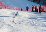 FIS Skiworldcup ALTA BADIA 10183341