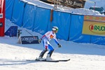 FIS Skiworldcup ALTA BADIA 10183349