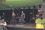 Hauptstadtball 2012 10223342