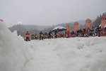 SnowSpeedHill Race 10250447