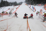 SnowSpeedHill Race 10250508