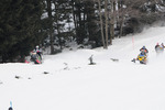 Motorschlitten Steilhangvergleichsfahrt 10283682