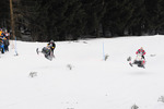 Motorschlitten Steilhangvergleichsfahrt 10283697
