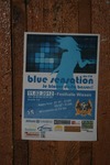 Blue Sensation: Je blauer desto besser! 10302197