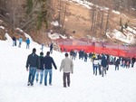 Ganischgeralm Winterfest 2012 10418100