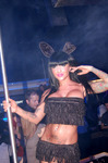 Playboy Party 10436437