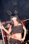 Playboy Party 10436439