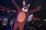 Playboy Party 10436446