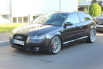 31. GTI-Treffen  10533604