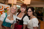 Oktoberfest Wang 10566329