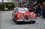 Alpenralley 10574757