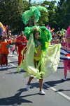 Regenbogenparade 2012 10612235