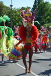 Regenbogenparade 2012 10612364