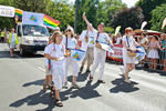 Regenbogenparade 2012 10613943