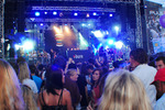 29. Donauinselfest 2012 10623739