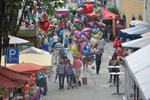 33. Steyrer Stadtfest 10627588